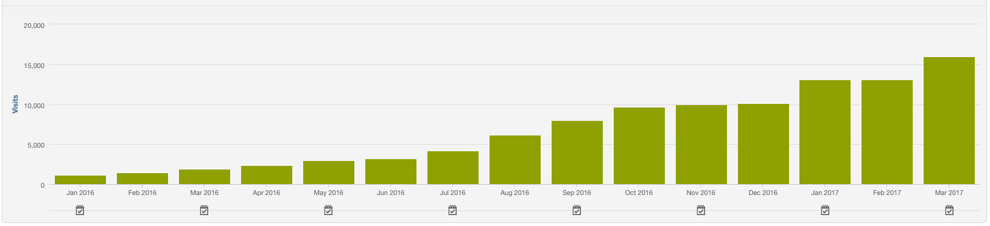 Organic Traffic - 12 Months