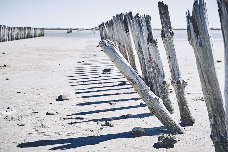 fenceposts